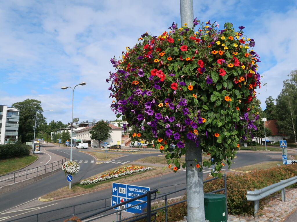 Sommarblommor på stadens gatuområdet.