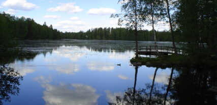 Gallträsk sommarbild