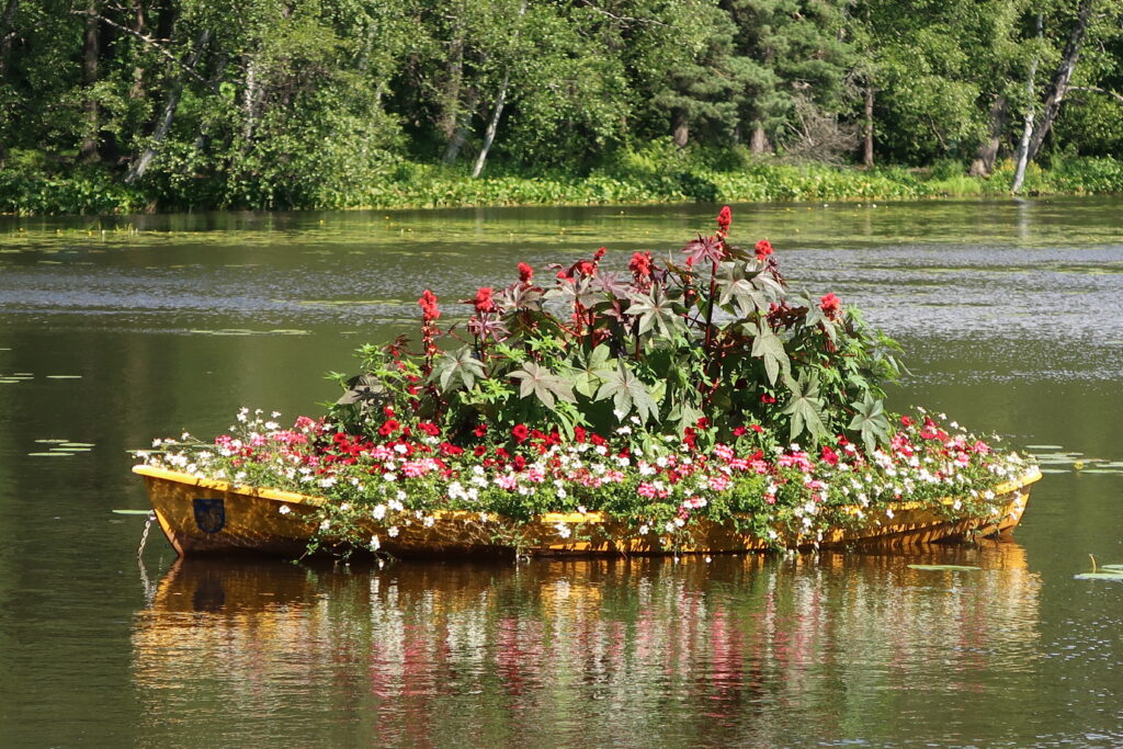 Blomsterbåt på Gallträsk.