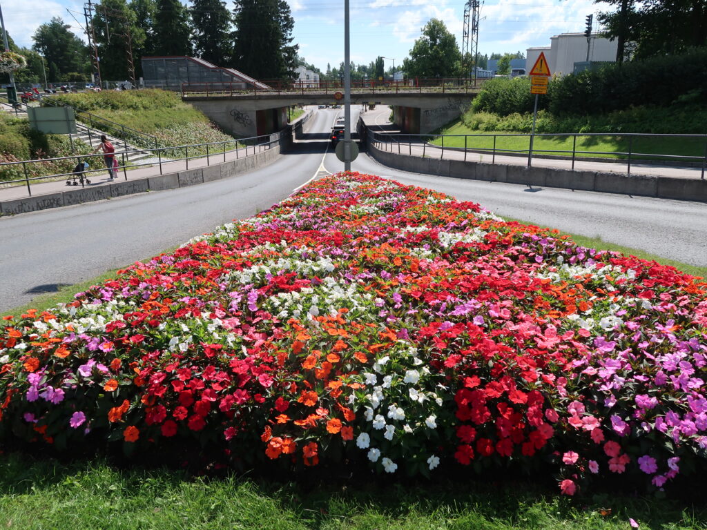 Färgrik sommarblomsterrabatt på Tunnelvägen.