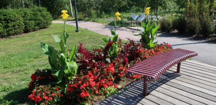 Blomsterrabatt i Thurmansparken