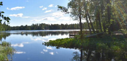 gallträsk