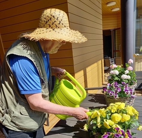 Puutarhuri kastelee kesäkukkia