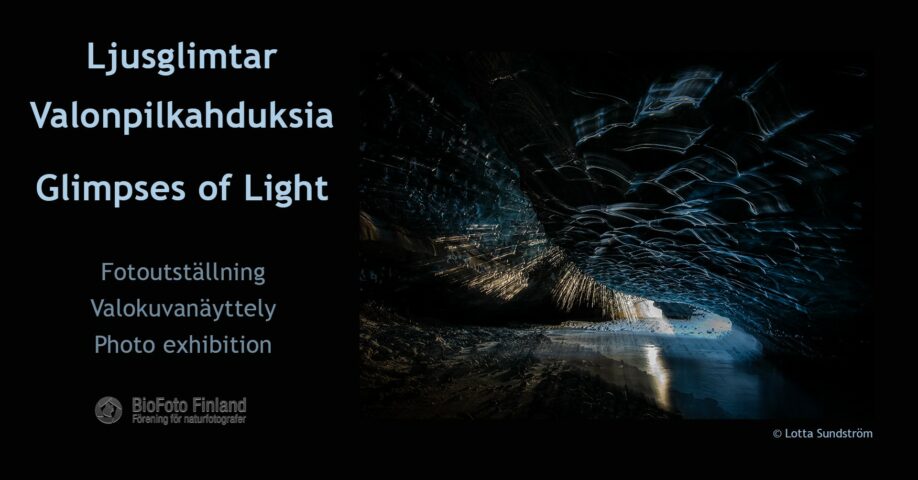 Glimpses of light. ljusglimtar, Valonpilkahduksia
