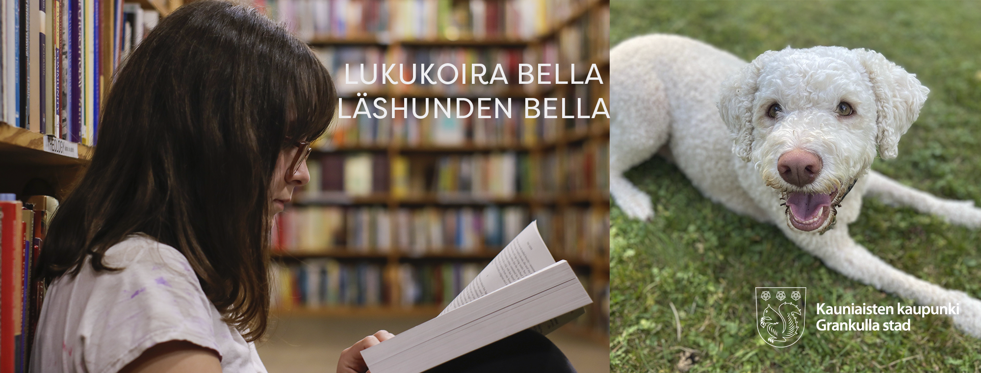 Lukukoira bella läshunden bella