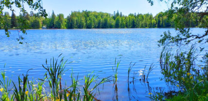 Gallträsk, kesäpäivä
