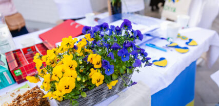 Blommor i ukrainas färger.
