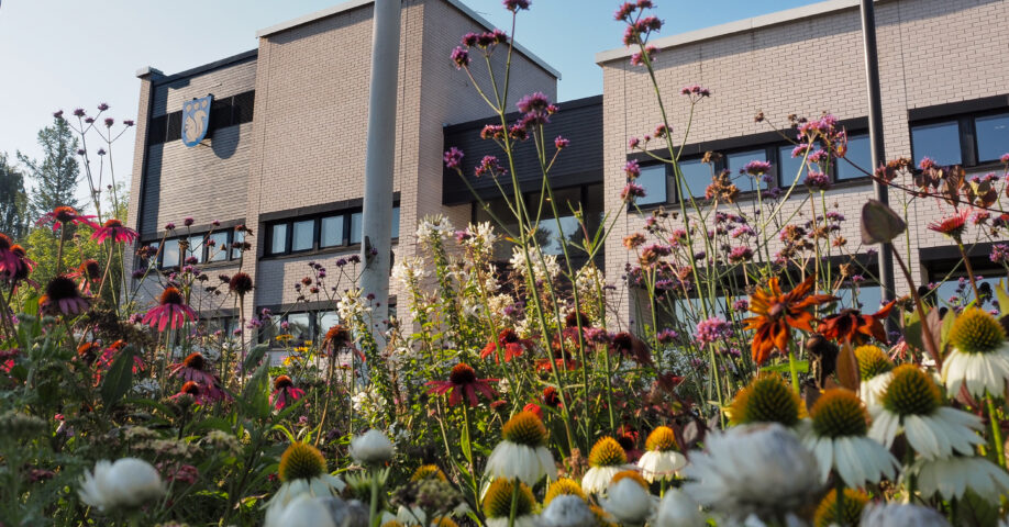 Grankulla stadshus och blommor
