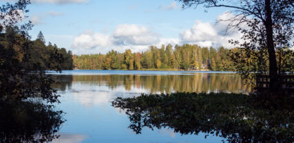 Gallträsk