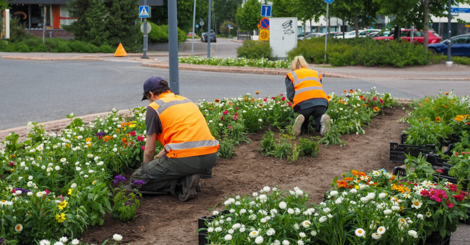 Kesätyö, kukkia. Kukkaistutus.