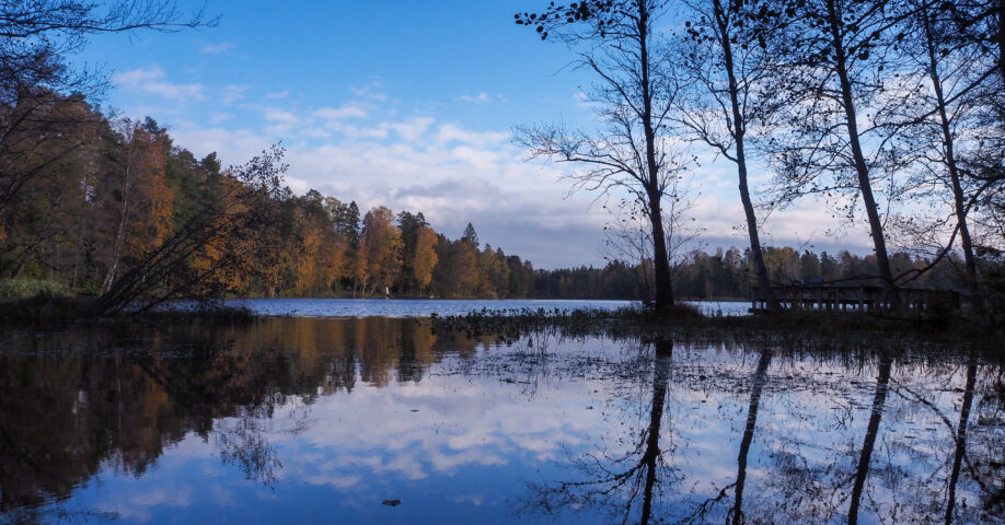 gallträsk