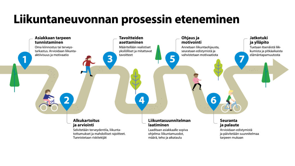 Liikuntaneuvonnan prosessin eteneminen